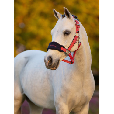 Licol mouton Vogue Mini LeMieux avec longe Cranberry Licol mouton Vogue Mini LeMieux avec longe Cranberry