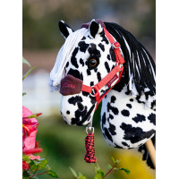 Halster en halstertouw Vogue Hobby Horse LeMieux Lagune Blauw Halster en halstertouw Vogue Hobby Horse LeMieux Lagune Blauw