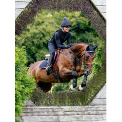 Tapis LeMieux Suede Close contact Square Marine / cranberry Bleu marine