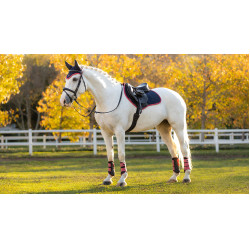 Tapis LeMieux Suede Close contact Square Marine / cranberry Bleu marine