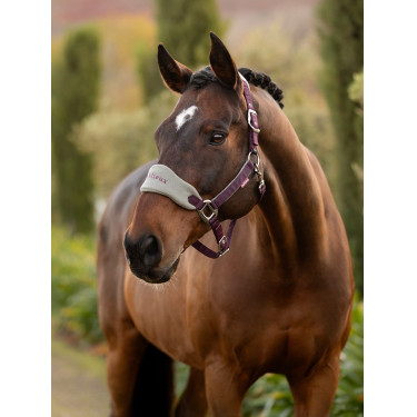 Licol et longe Lemieux Vogue Damson Violet