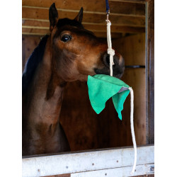 LeMieux speelgoed voor paarden Scheiding