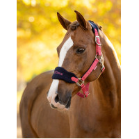 Halster en leadrope LeMieux Vogue Esme Blauw maïs Halster en leadrope LeMieux Vogue Esme Blauw maïs