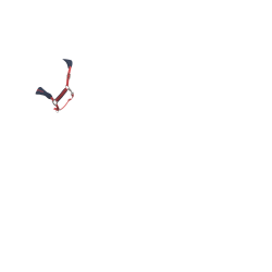 Halster en leadrope LeMieux Vogue Esme Veenbes Roze Halster en leadrope LeMieux Vogue Esme Veenbes Roze