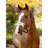 Licol et longe LeMieux Vogue Esme Bleu corn Licol et longe LeMieux Vogue Esme Bleu corn