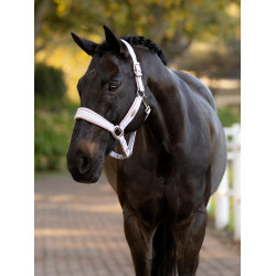 Licol LeMieux Versailles Lilac Violet