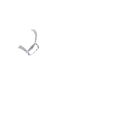 Halster LeMieux Versailles Varen Groen