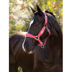 Halster LeMieux Versailles Veenbes Roze Halster LeMieux Versailles Veenbes Roze