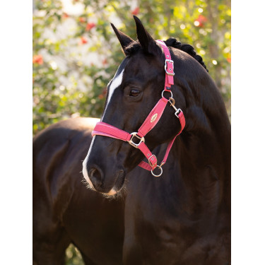 Licol LeMieux Versailles Cranberry Licol LeMieux Versailles Cranberry