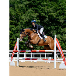 Tapis de selle LeMieux Loire Close Contact Square CSO Blanc