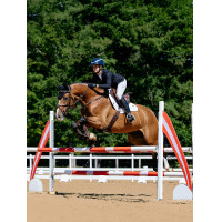 Zadeldek LeMieux Loire Close Contact Square CSO Benetton Blauw