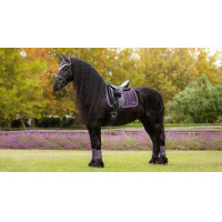 Tapis de selle LeMieux Loire Dressage Square Juniper Violet