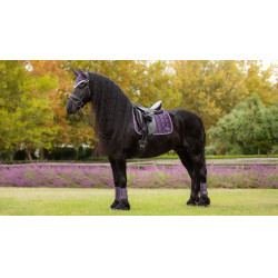 Tapis de selle LeMieux Loire Dressage Square Juniper