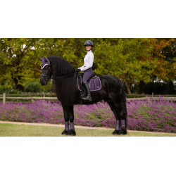 Tapis de selle LeMieux Loire Dressage Square Juniper Violet Tapis de selle LeMieux Loire Dressage Square Juniper Violet