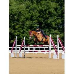 Tapis LeMieux competition close contact square - coton Bordeaux