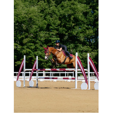 Tapis LeMieux competition close contact square - coton Tapis LeMieux competition close contact square - coton