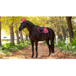 LeMieux Reflective Suede Close Contact Square Zadeldek Veenbes Roze