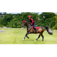 Tapis LeMieux Reflective Suede Close Contact Square Chilli Rouge