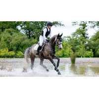 Tapis LeMieux Reflective Suede Close Contact Square Blanc