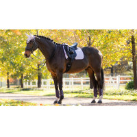 Tapis LeMieux Reflective Suede Dressage Square Lilac Violet