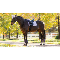 Tapis LeMieux Reflective Suede Dressage Square Lilac