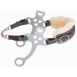 Hackamore T van T Donker Havana Bruin Hackamore T van T Donker Havana Bruin