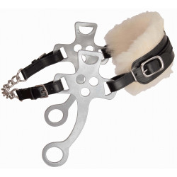 Hackamore T van T Hackamore T van T