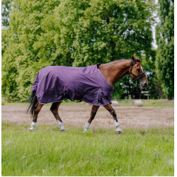 Couverture Equithème Tyrex Aisance 600D Prune Violet