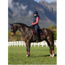 Tapis LeMieux Loire Classic Dressage Square Marine / cranberry Bleu marine