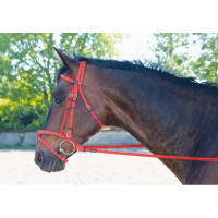 Bridon Biotack® T de T Rood