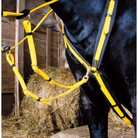 Collier de chasse Biotack T de T Jaune