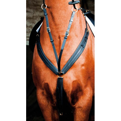 Collier de chasse Biotack T de T Noir Collier de chasse Biotack T de T Noir