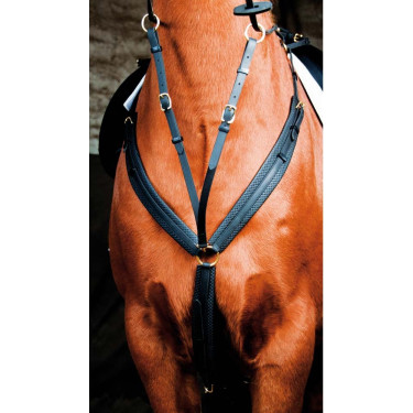 Collier de chasse Biotack T de T Noir Collier de chasse Biotack T de T Noir