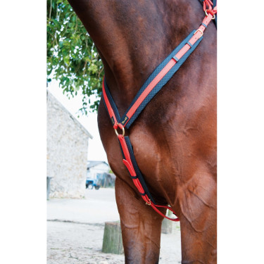 Collier de chasse Biotack T de T Orange