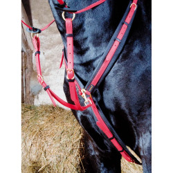 Jachtmartingaal Biotack T de T Rood Jachtmartingaal Biotack T de T Rood