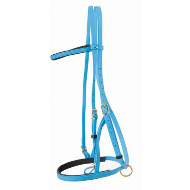 Bridon licol Biotack® T de T Bleu clair Bridon licol Biotack® T de T Bleu clair
