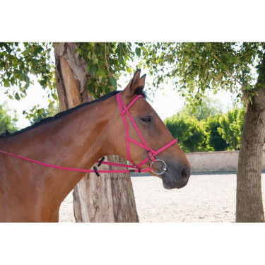 Bridon licol Biotack® T de T Fuchsia Rose