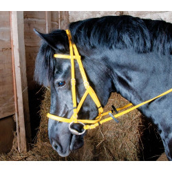 Bridon licol Biotack® T de T Jaune