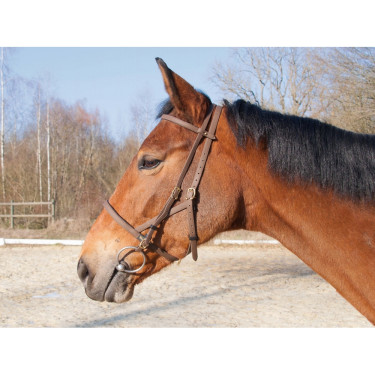 Bridon halster Biotack® T de T Bridon halster Biotack® T de T