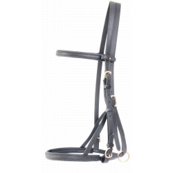 Bridon licol Biotack® T de T Noir
