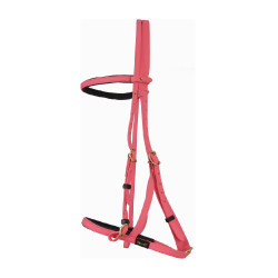 Bridon halster Biotack® T de T Roze Bridon halster Biotack® T de T Roze