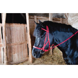 Bridon halster Biotack® T de T Rood