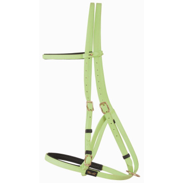 Bridon halster Biotack® T de T Groen Bridon halster Biotack® T de T Groen