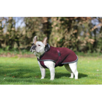 Couverture pour chien Show-Line Bucas Bordeaux / gris