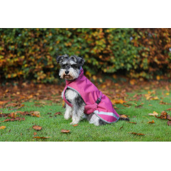 Hondendeken Bucas Freedom 50g Framboos Rood Hondendeken Bucas Freedom 50g Framboos Rood