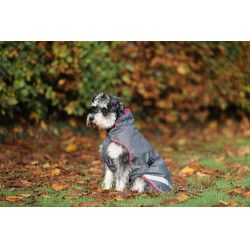 Couverture pour chien Bucas Freedom 50g Gris fumé Couverture pour chien Bucas Freedom 50g Gris fumé