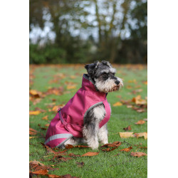 Couverture pour chien Bucas Freedom 300g Framboise Rouge Couverture pour chien Bucas Freedom 300g Framboise Rouge