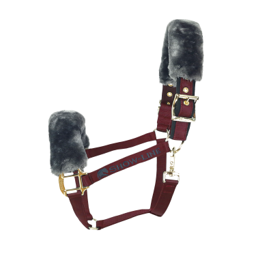 Halster Bucas Show-Line Bordeaux / zwart