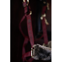 Halster Bucas Show-Line Bordeaux / zwart