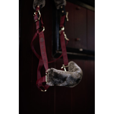 Halster Bucas Show-Line Bordeaux / zwart